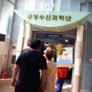 개인화물3303 | 통영 케이블카 및 통영 수산과학관 체험 후기