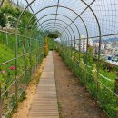 명정동주민센터 이미지