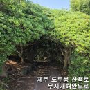 무지개다방 - 진도군 남문길 27 | 제주공항 근처 필수 코스! 도두봉 키세스존 & 도두동 무지개해안도로 소요시간 및 주차 꿀팁