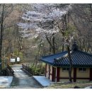 치인야영장 화장실 네이버블로그