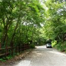 국립운문산자연휴양림야영장 이미지