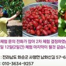 검산농장 이미지