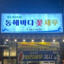 동해바다꽃새우 이미지