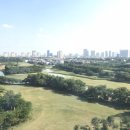 345 골프연습장 이미지