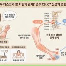 자연안에한의원중구점 네이버블로그
