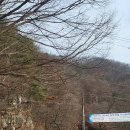 퇴촌 낭만펜션 | 퇴촌낭만펜션 or 퇴촌계곡펜션(내가 딱 정해줌)토마토하우스후기