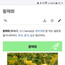 산복로 이미지