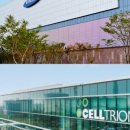 대양오션 이미지