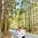 대마도여행 2일차 슈시강단풍길 미우다해수욕장 한국전망대 고로케 붕어빵까지 대마도패키지 끝