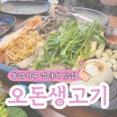 오돈생고기 | 청주 용암동 동남지구 삼겹살 껍데기 맛집 오돈생고기