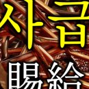 주식회사 열사