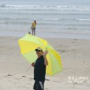 장삼포해수욕장 이미지