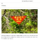 퍼스트PC게임 이미지