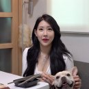 남경반점 이미지