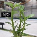 전혜숙농장 이미지