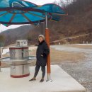 백야리산림욕장 이미지