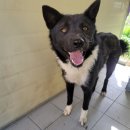 청하시장 이미지