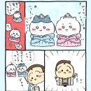 봄날오후 이미지