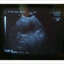 뉴월드 동물병원 이미지