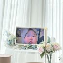 하이마이데이 이미지