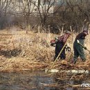 "수달 털갈이하는 곳인데" 충주시, 연지 수풀 제거 '논란' 이미지