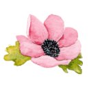 신복농장 이미지