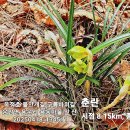 국사봉로 이미지