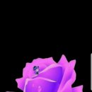 왜목해돋이 이미지