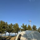파라펜션 민박 | 5월연휴 강원도 여행 후기🌊고성 백도오토캠핑장/백도수산 가리비/녹원생선찜/ 속초 단천식당