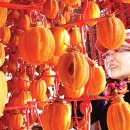 예조물산