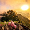 금수강산 - 영등포구 영등포로 147 | 금수강산