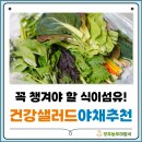 소플러스 양주점 | 다이어트 식단에 꼭 챙겨야 할 식이섬유 샐러드야채 쌈채소 추천 ⓦ양주농부이범석