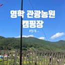 영학관광농원 야영장 | 창원 &amp; 마산 영학관광농원 캠핑장 솔직후기