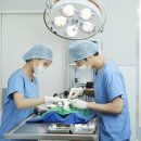 청사동물메디컬센타 이미지