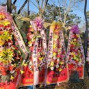 이승환콘서트 이미지