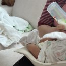 생활원예관리사 | 경기 의왕 도담도담 산후도우미 관리사 2주 실제 솔직후기 / 산후조리, 초산모