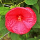 부용쉼터 이미지