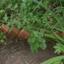 선수촌로 이미지