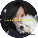 제이바니 이미지
