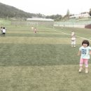 김태영축구장 이미지