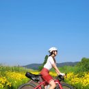 이마트24 합천청덕점 | [자전거국토종주] 낙동강자전거길 하류 (강정보~낙동강하굿둑) / 1박2일 일정 및 강나루휴게소 숙소 정보