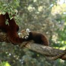 국보농장 이미지