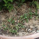 문화의거리 이미지