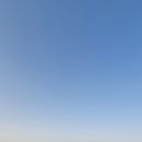 블루망고풀빌라앤리조트 이미지