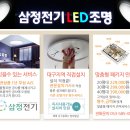 파티마정형외과 이미지