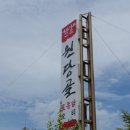 제주 삼양동 유적 이미지