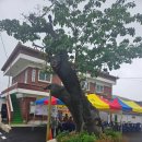 창무산성교회 이미지