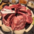 라무다찌 이미지