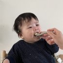 다시 이유식 거부 전쟁이라니?