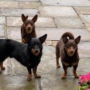 범용농장 이미지